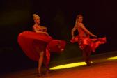 Gala DANSE AVEC LES STARS 11 Juillet 2014